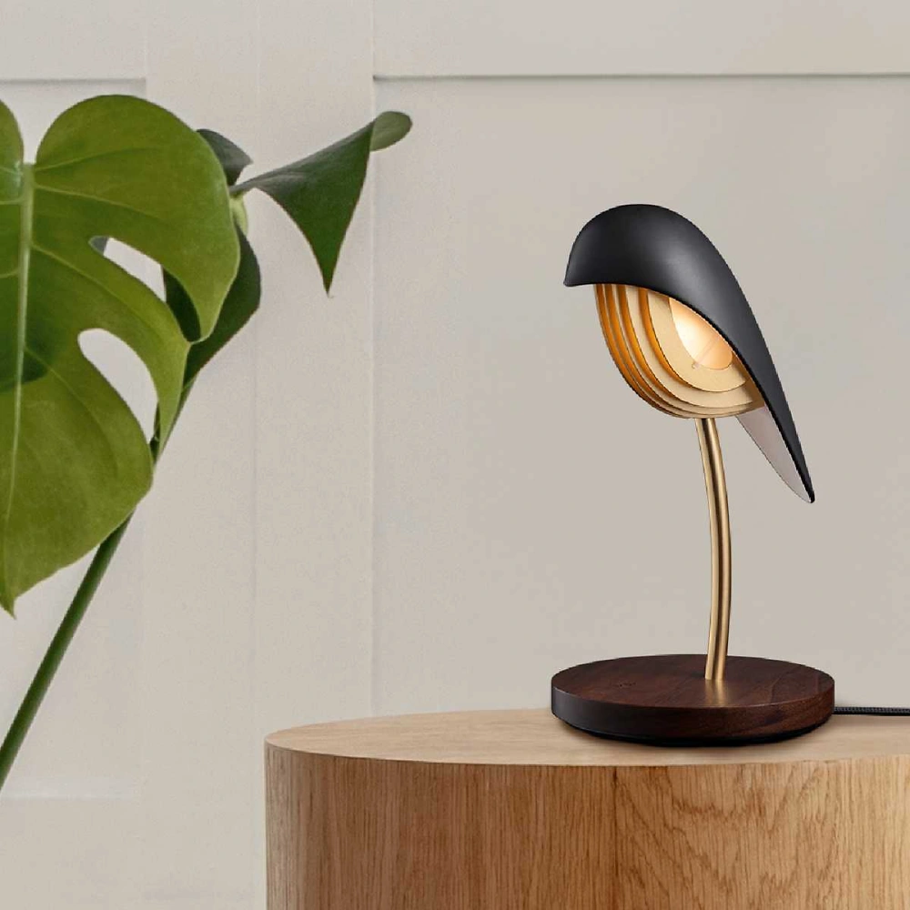 DAQI CONCEPT Bird - Onyx Black